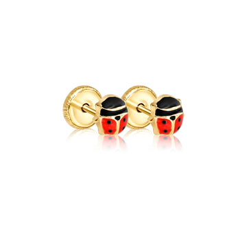 Lady bug